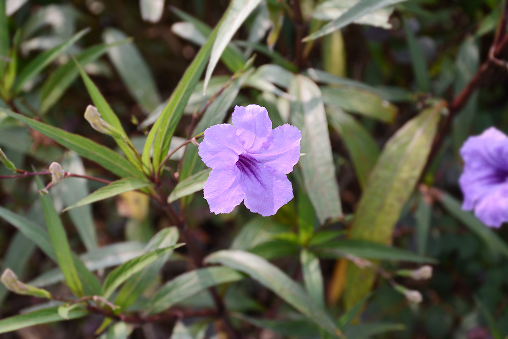 KU酷游官网-相信品牌力量